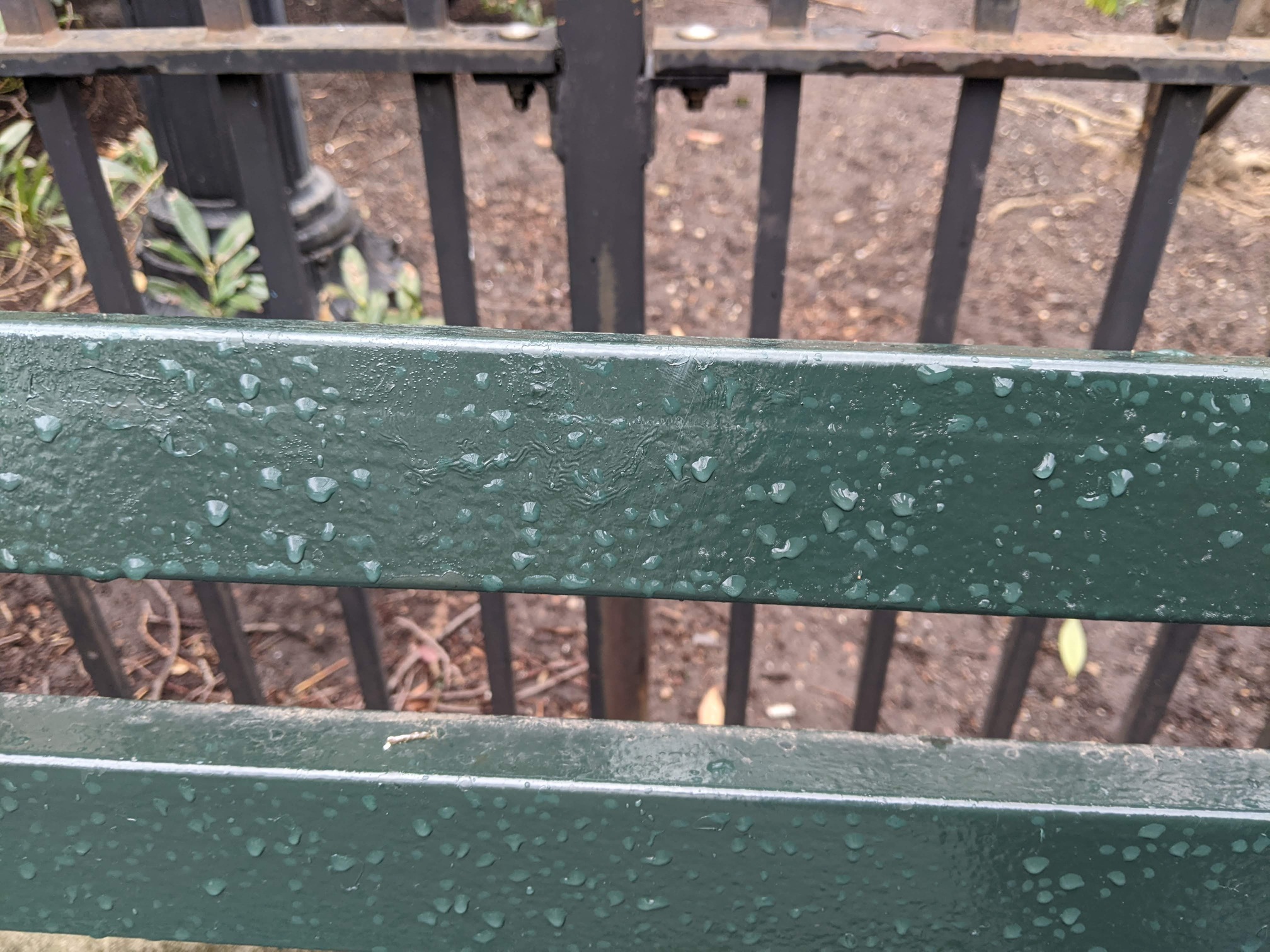 I saw this bench in Central Park