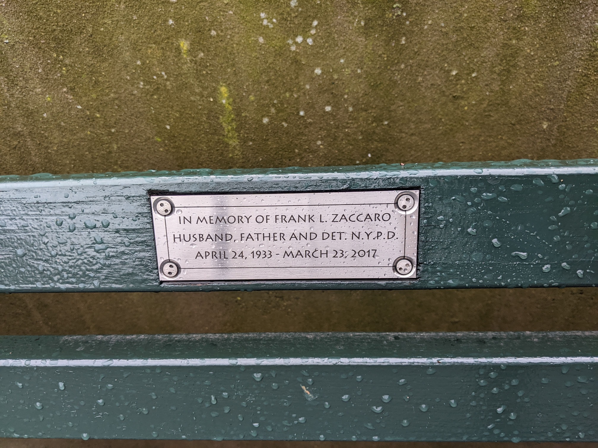 I saw this bench in Central Park