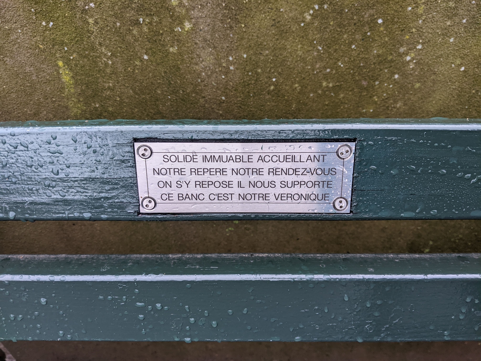 I saw this bench in Central Park