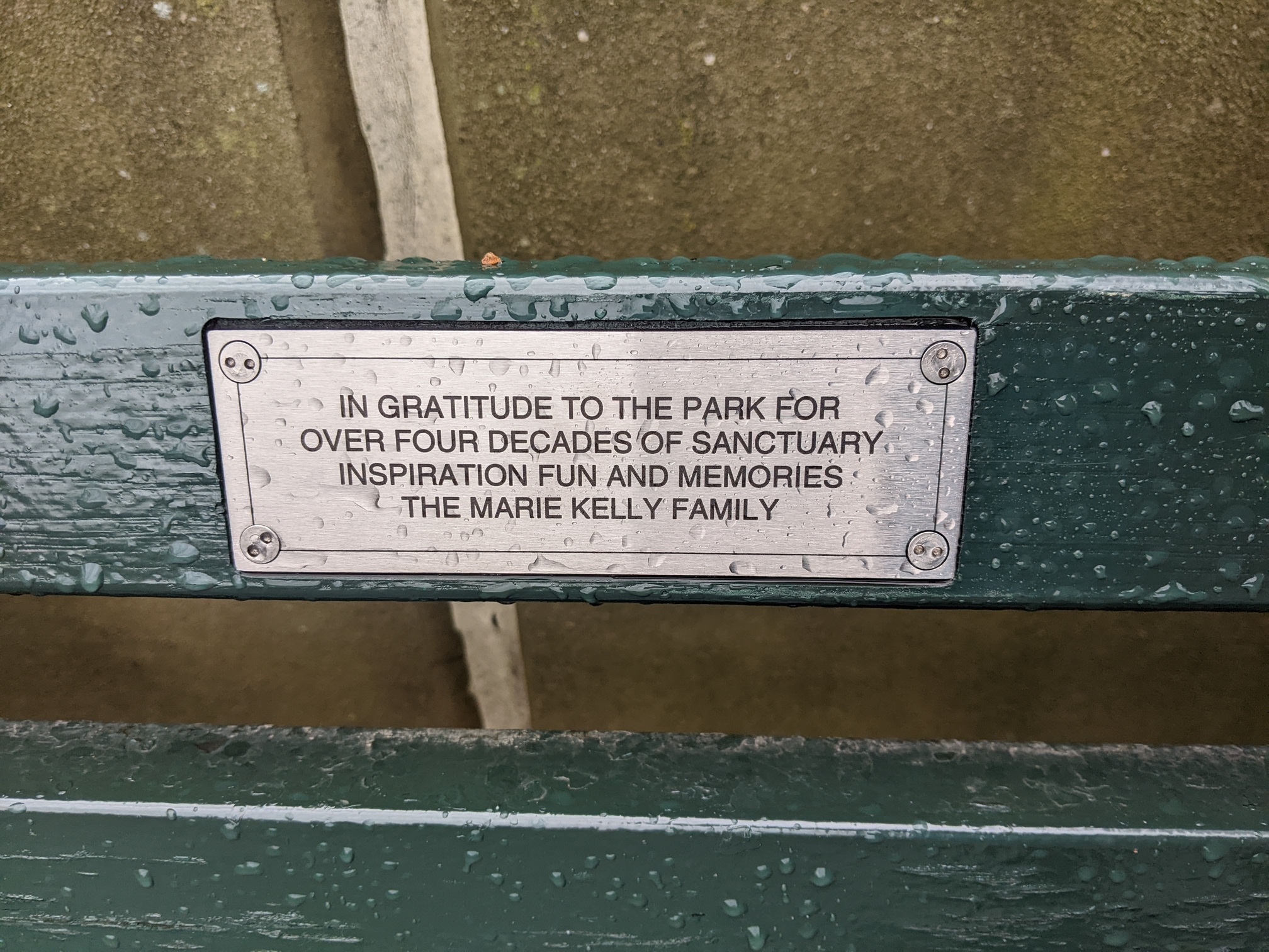 I saw this bench in Central Park