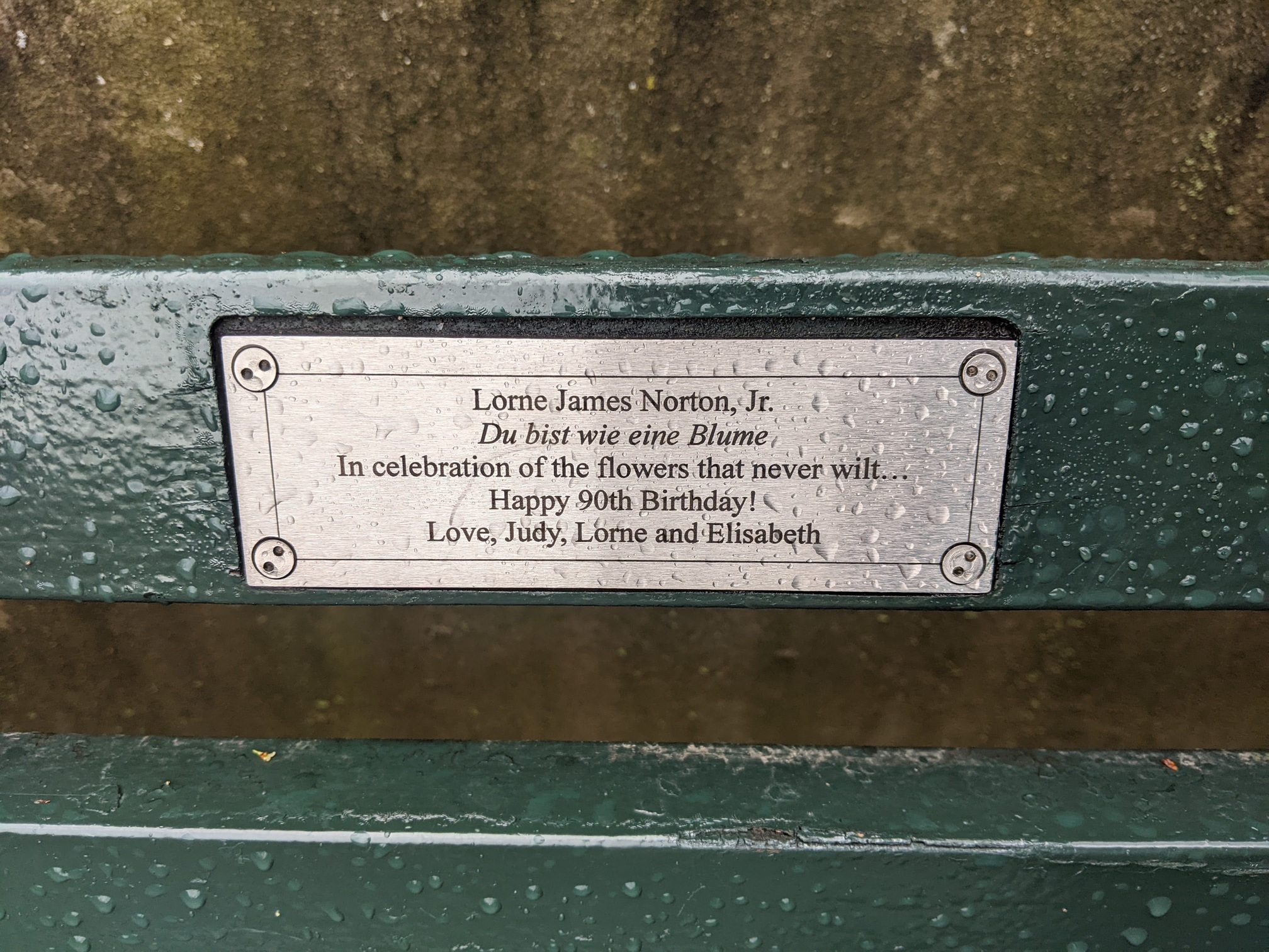 I saw this bench in Central Park