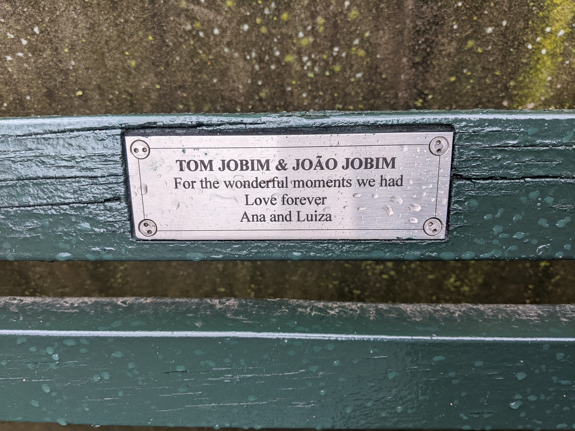 I saw this bench in Central Park