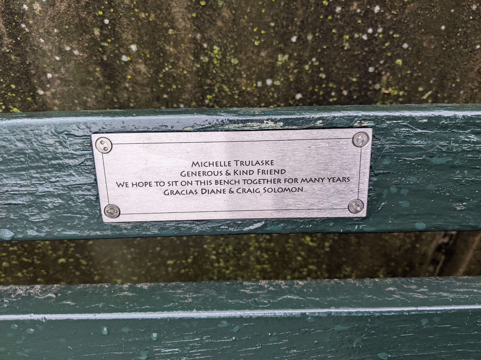 I saw this bench in Central Park