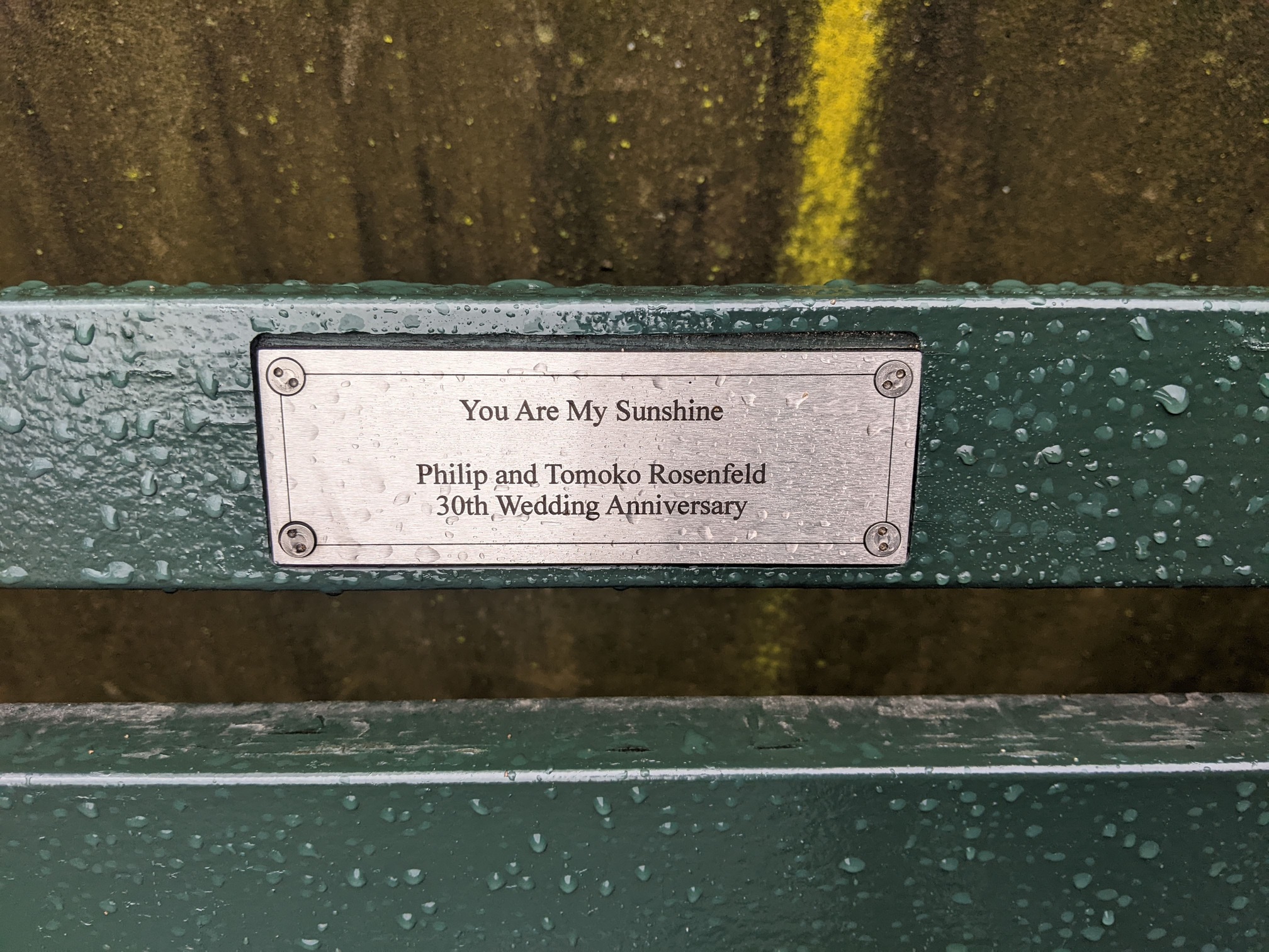 I saw this bench in Central Park