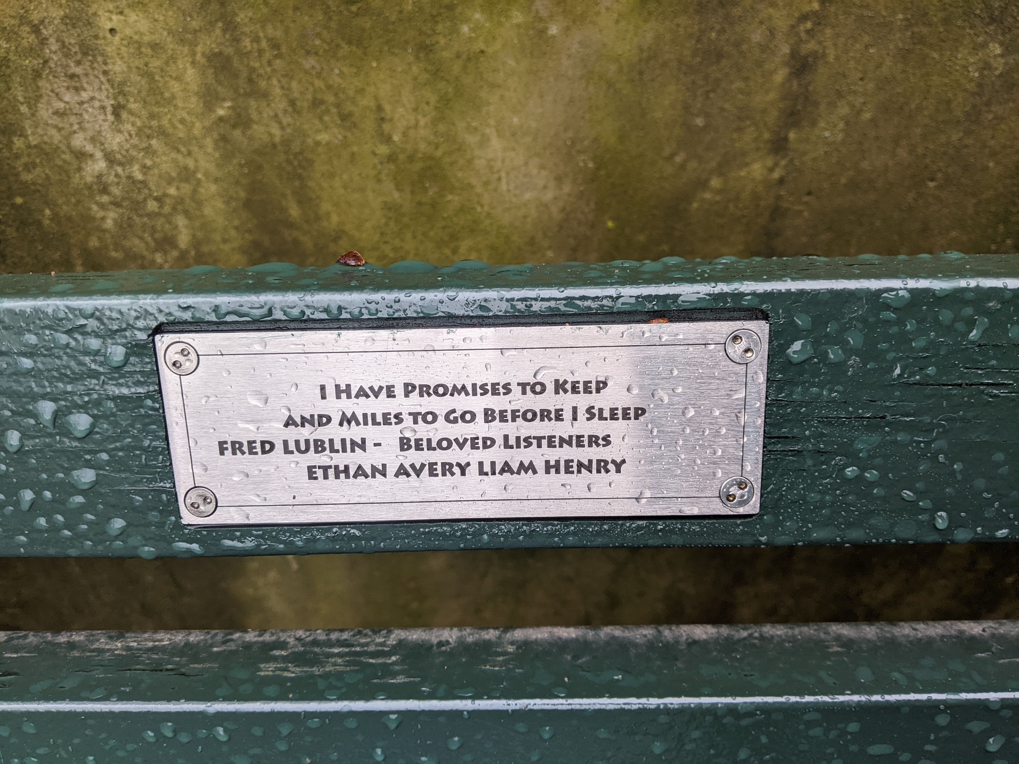 I saw this bench in Central Park