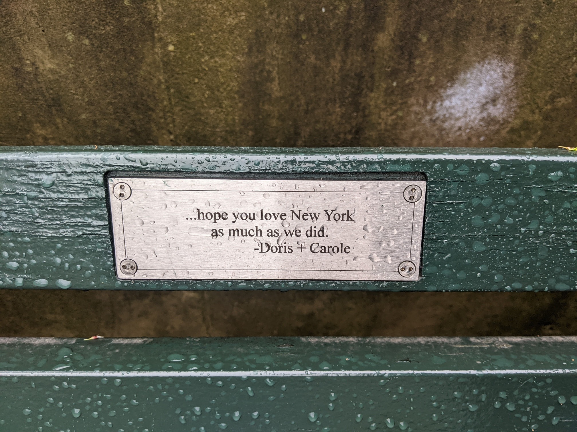 I saw this bench in Central Park