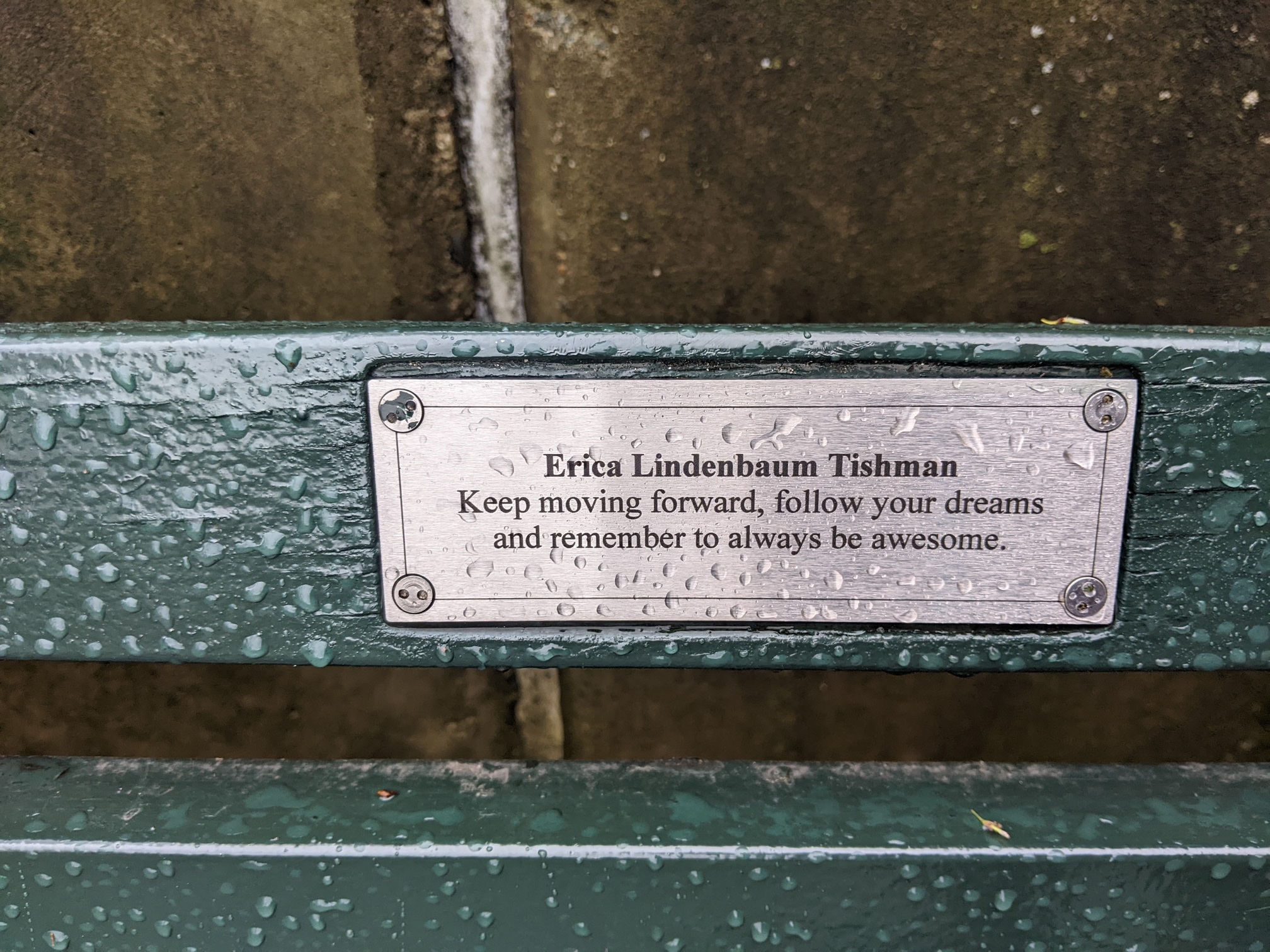 I saw this bench in Central Park