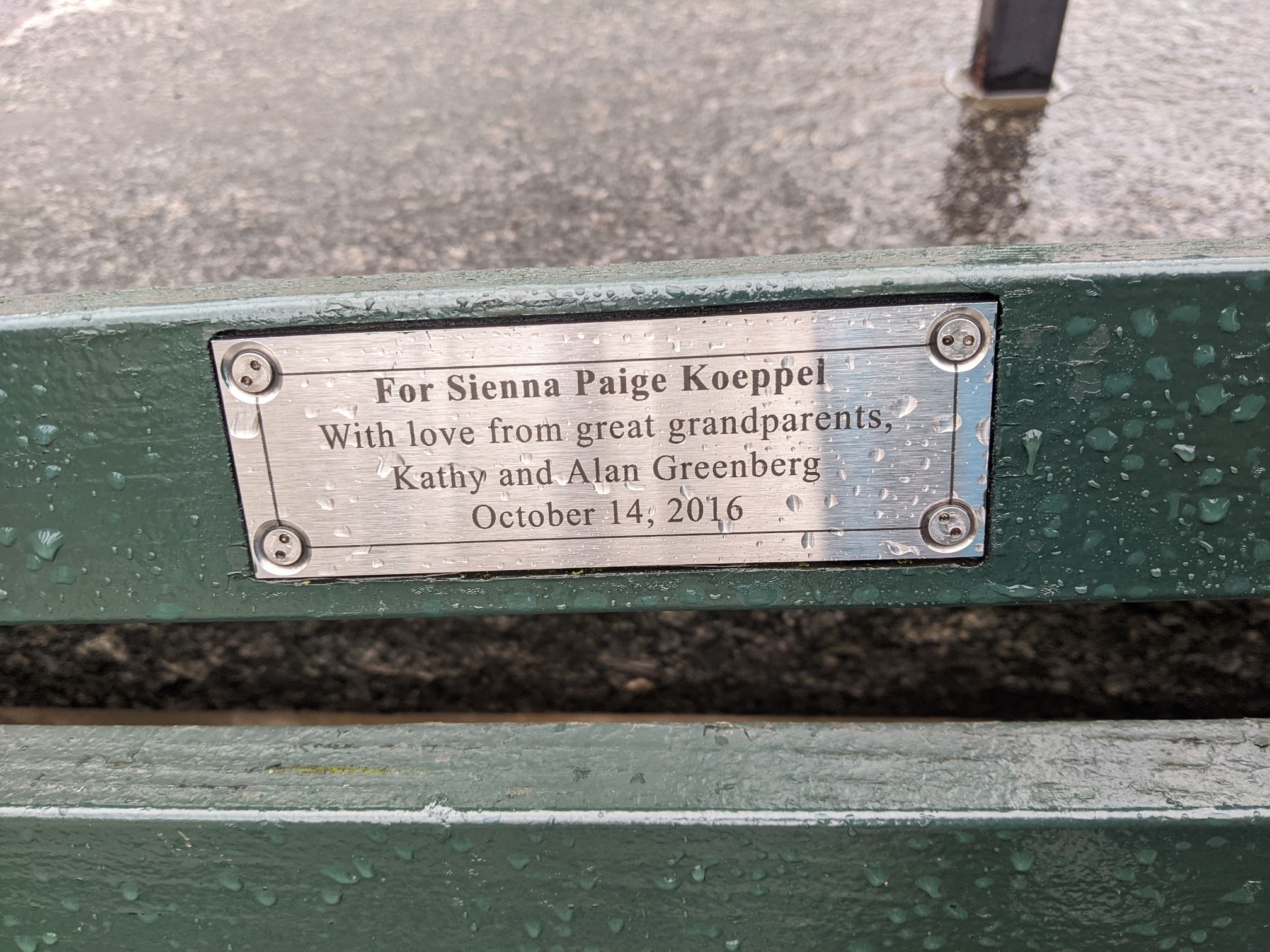 I saw this bench in Central Park