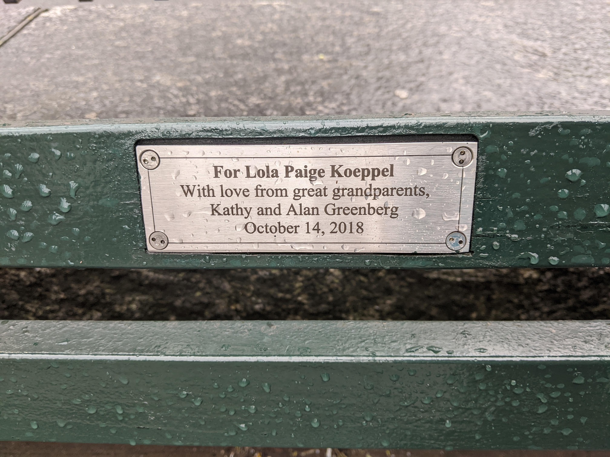 I saw this bench in Central Park