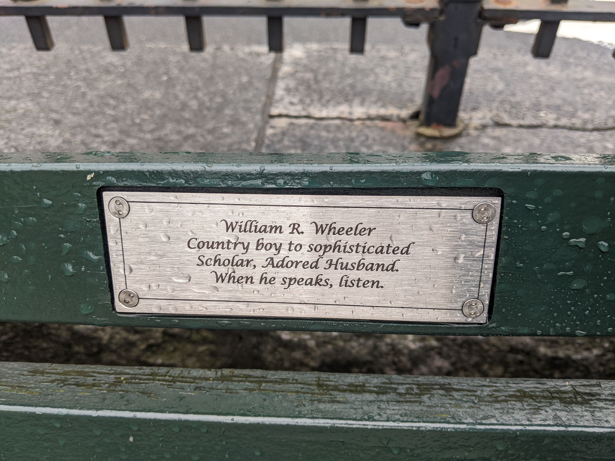 I saw this bench in Central Park