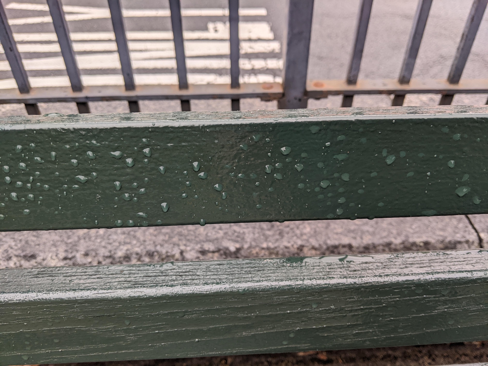 I saw this bench in Central Park