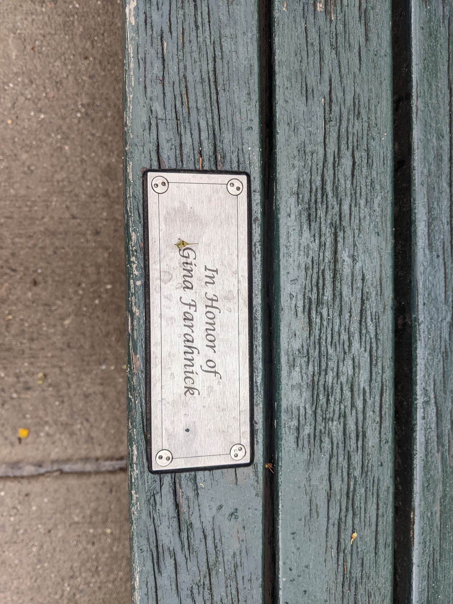 I saw this bench in Central Park