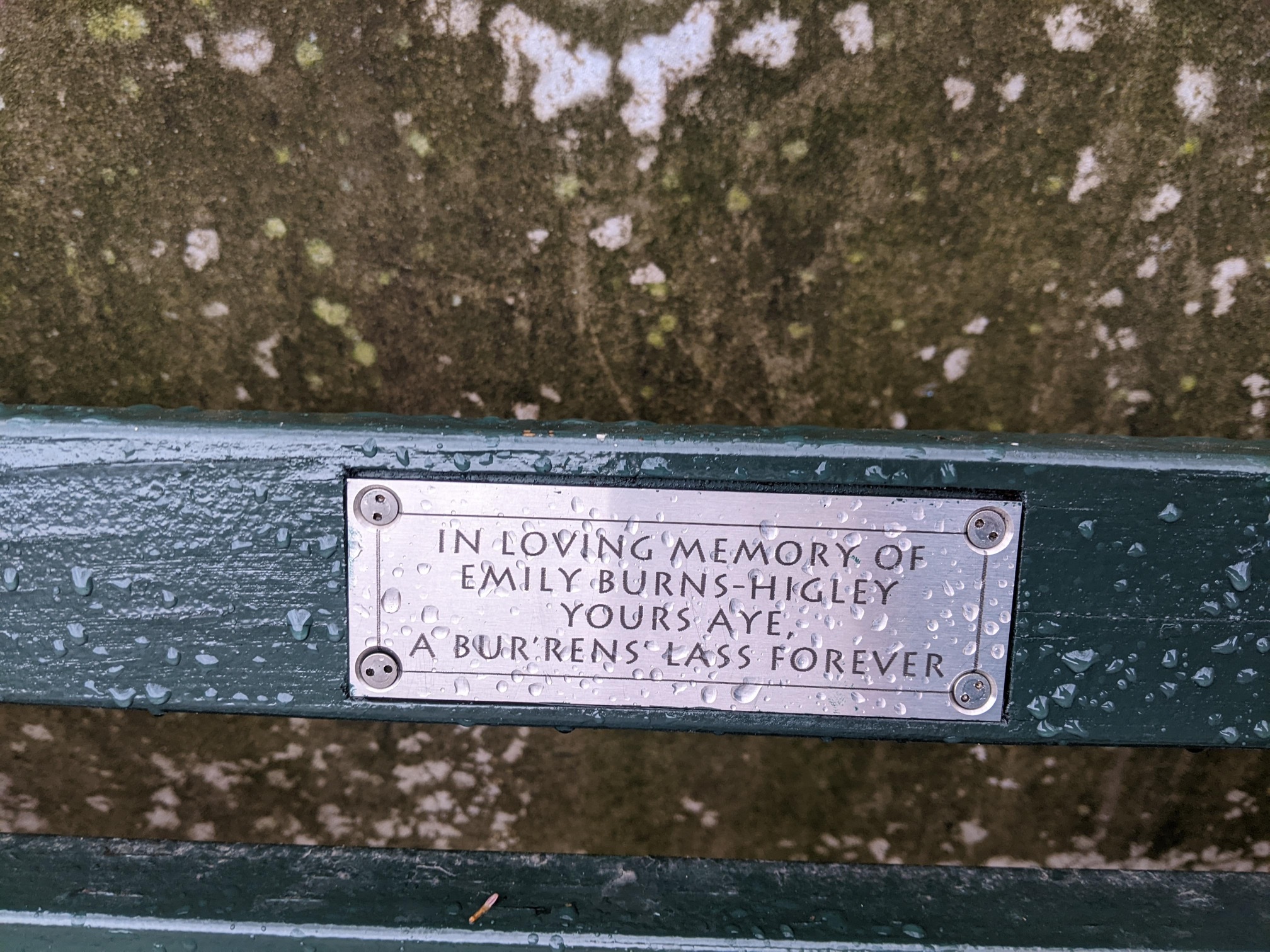 I saw this bench in Central Park