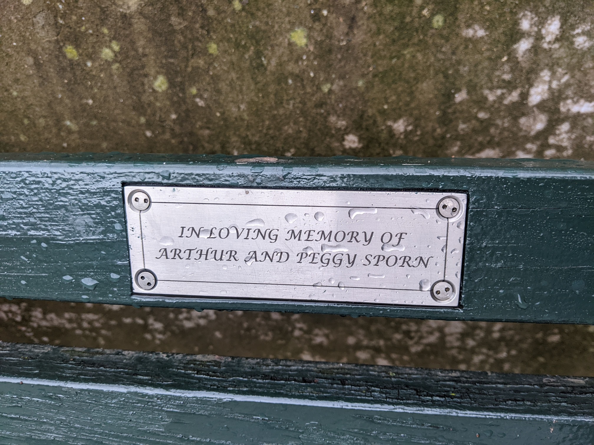 I saw this bench in Central Park