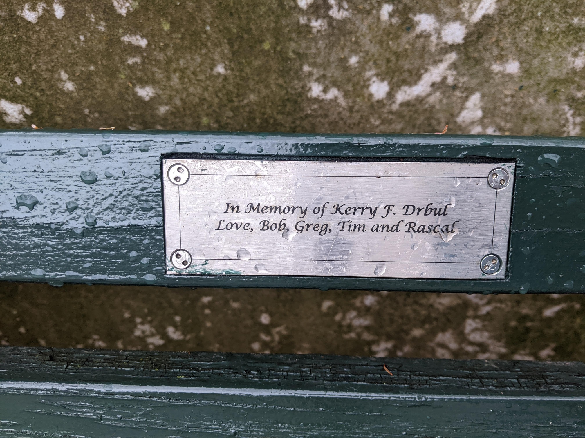 I saw this bench in Central Park