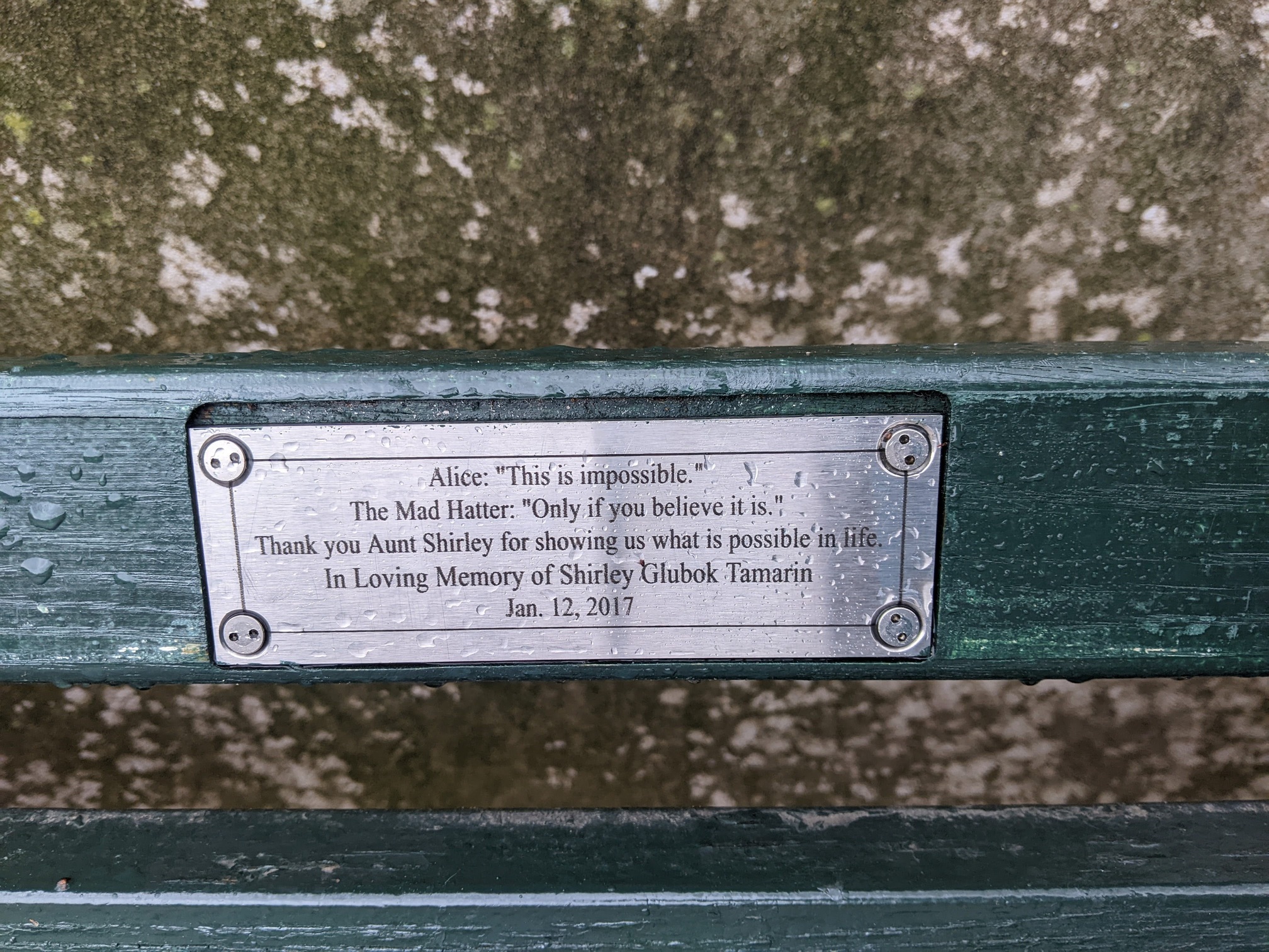 I saw this bench in Central Park