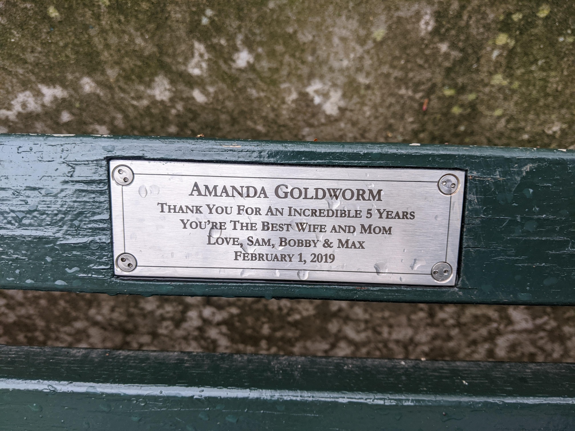 I saw this bench in Central Park