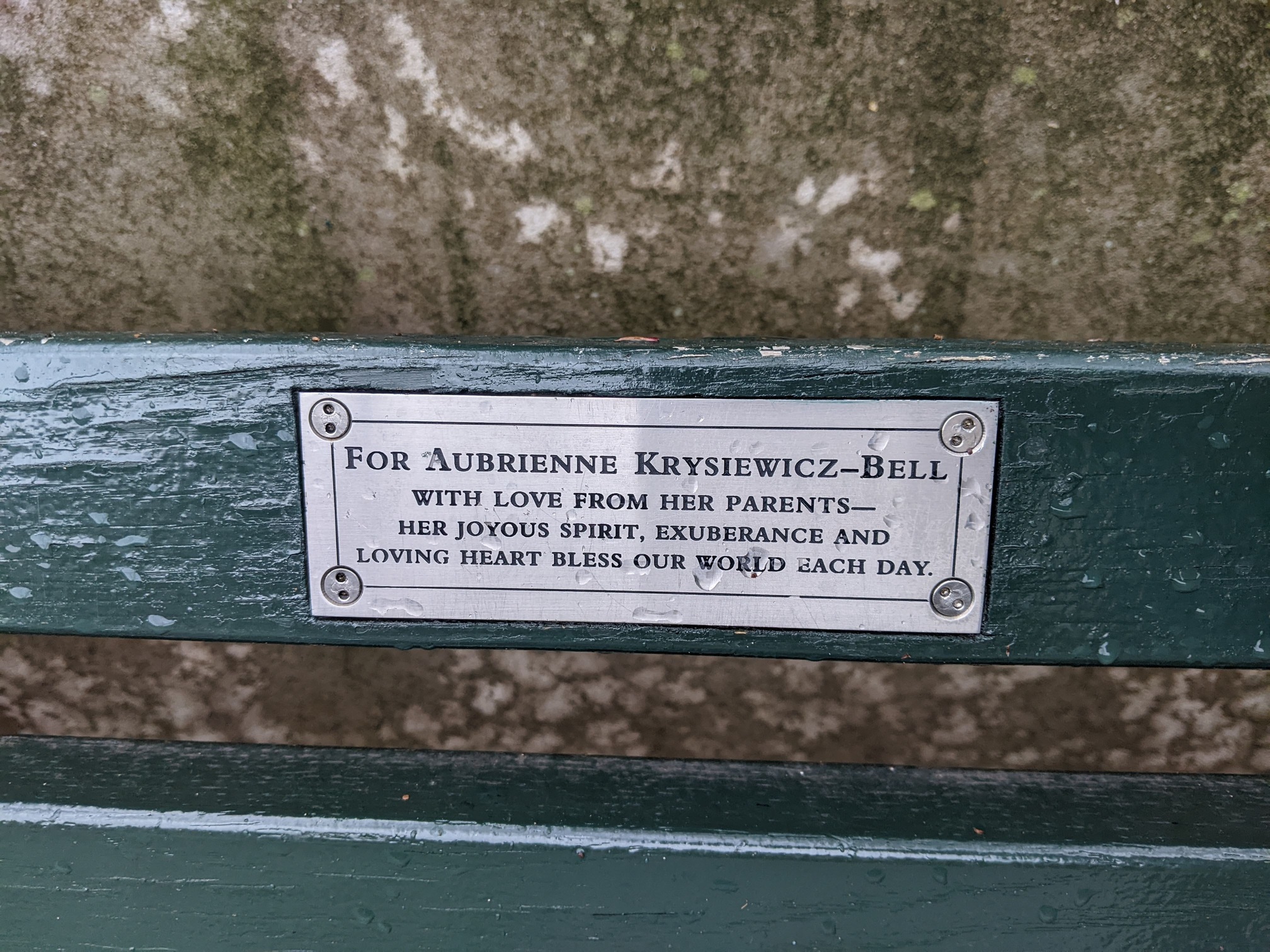 I saw this bench in Central Park