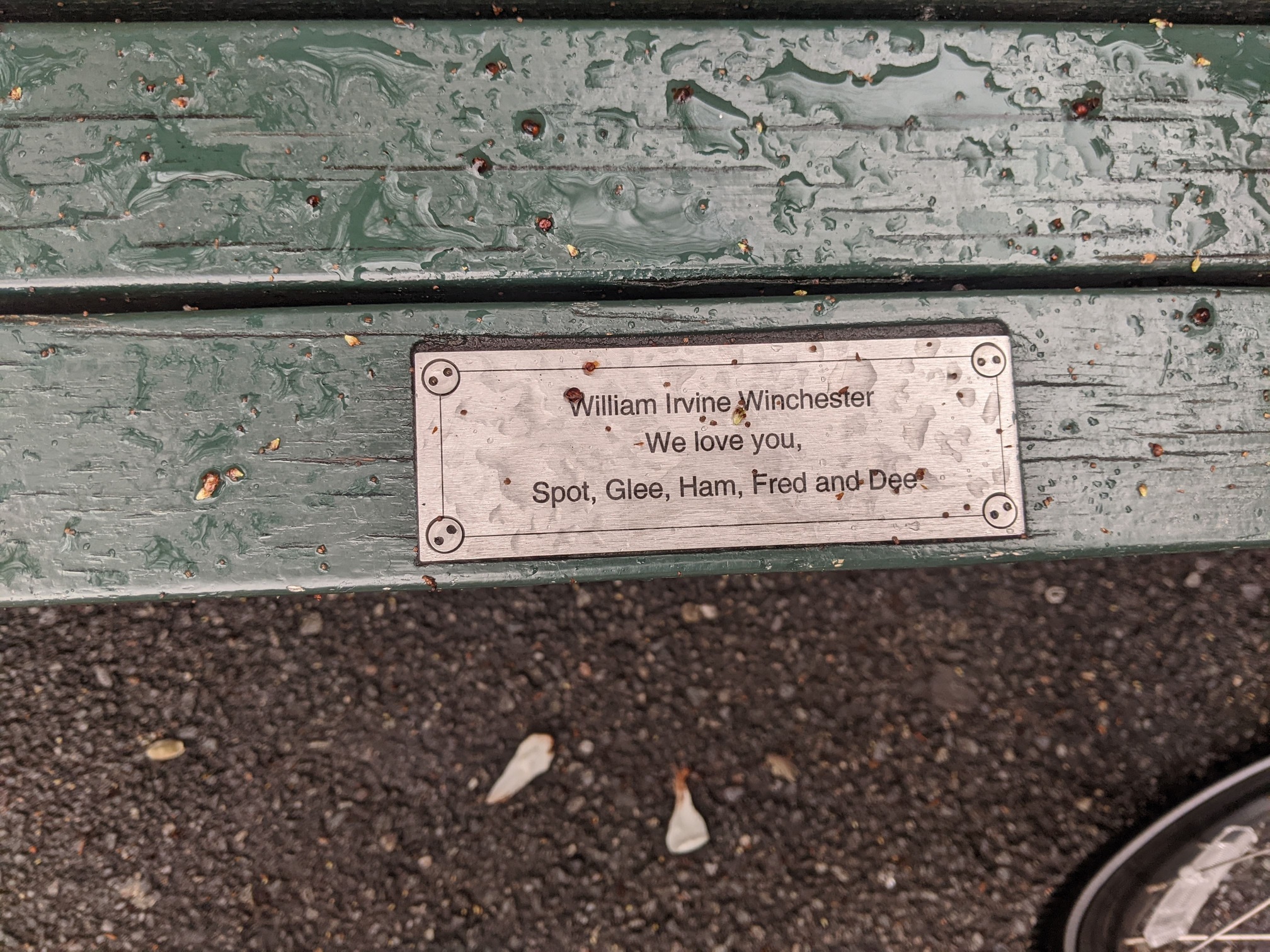 I saw this bench in Central Park