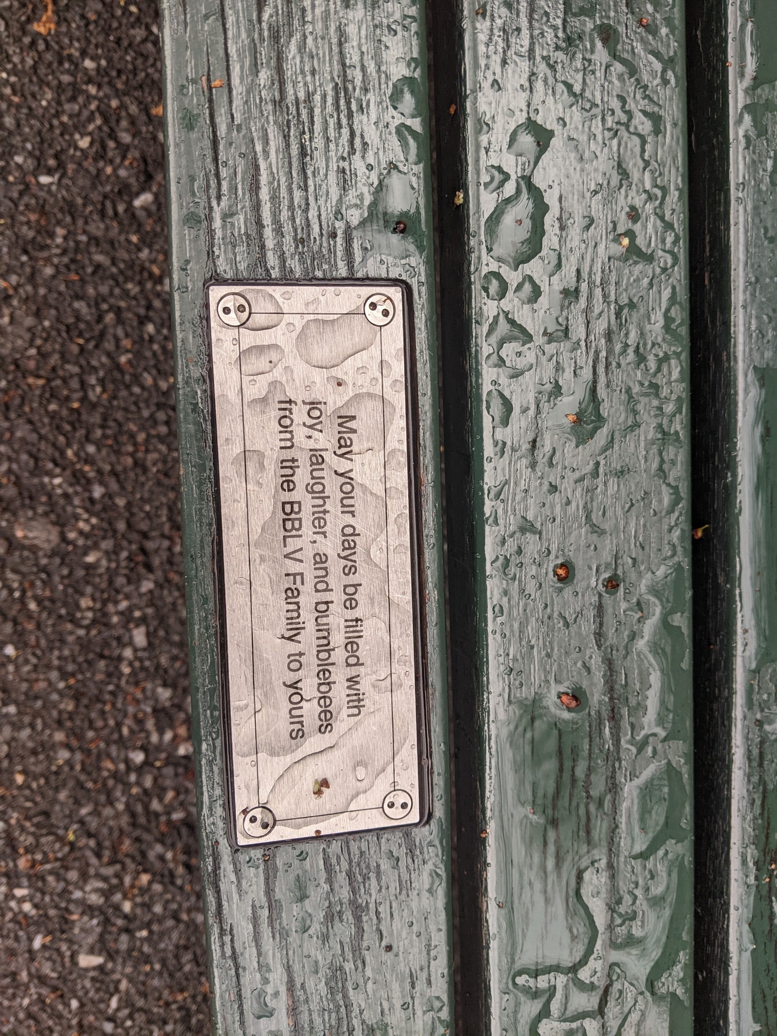 I saw this bench in Central Park