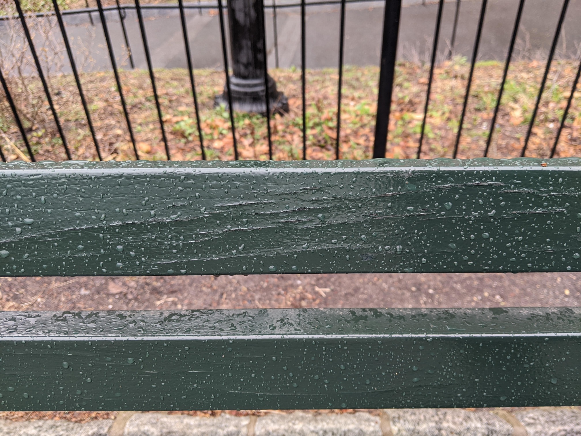 I saw this bench in Central Park