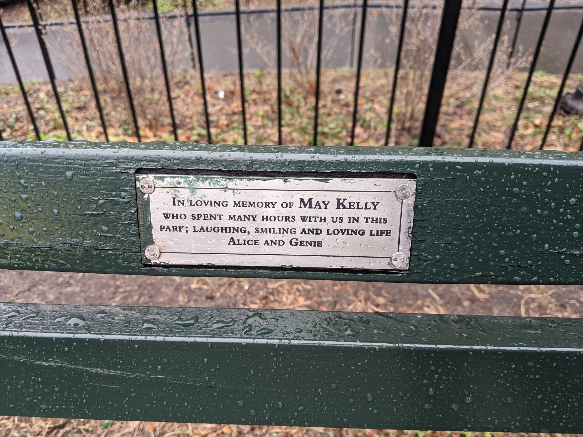 I saw this bench in Central Park