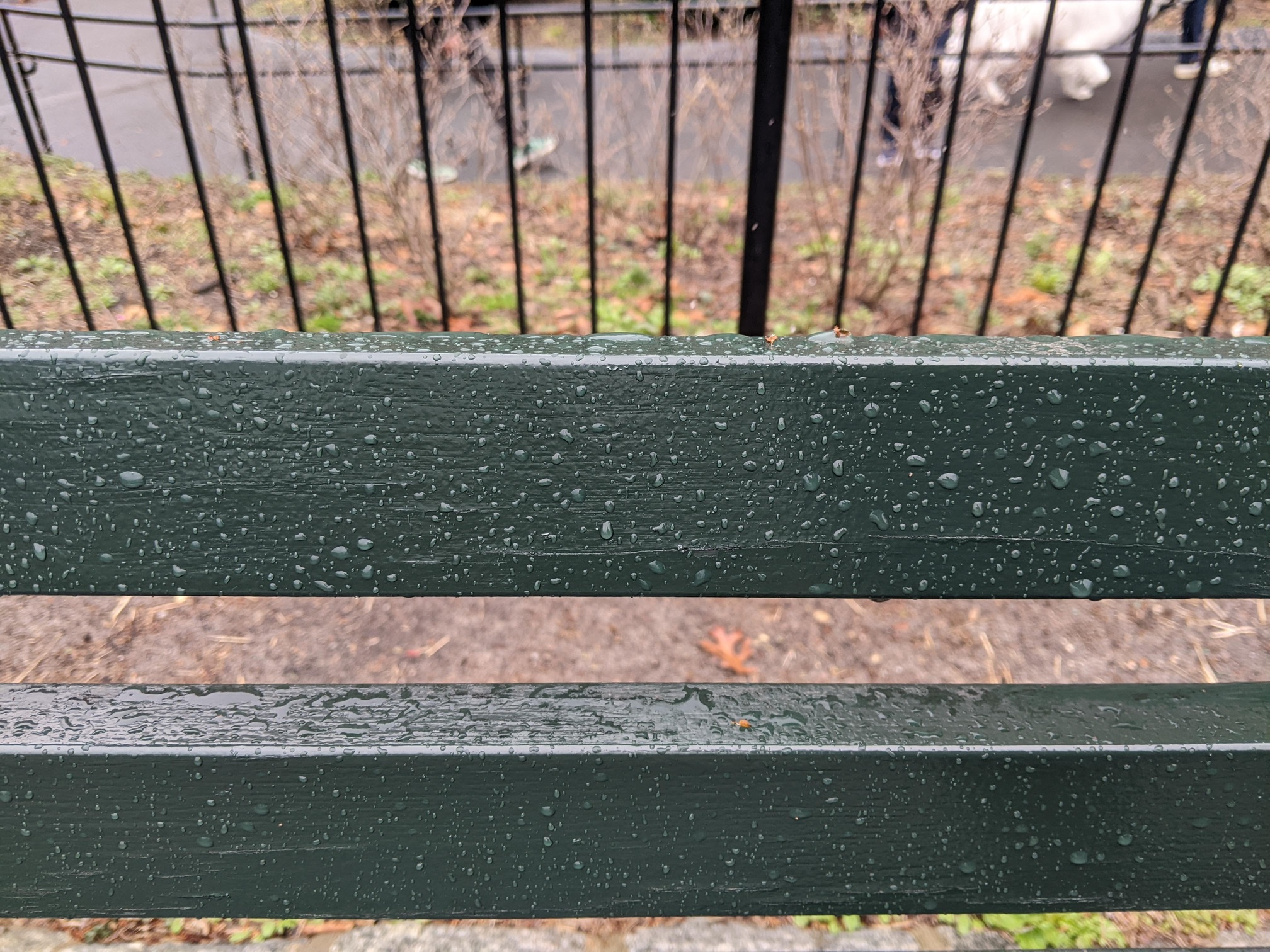 I saw this bench in Central Park