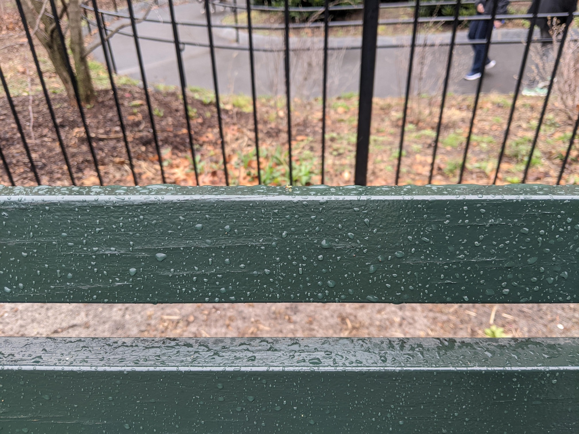 I saw this bench in Central Park