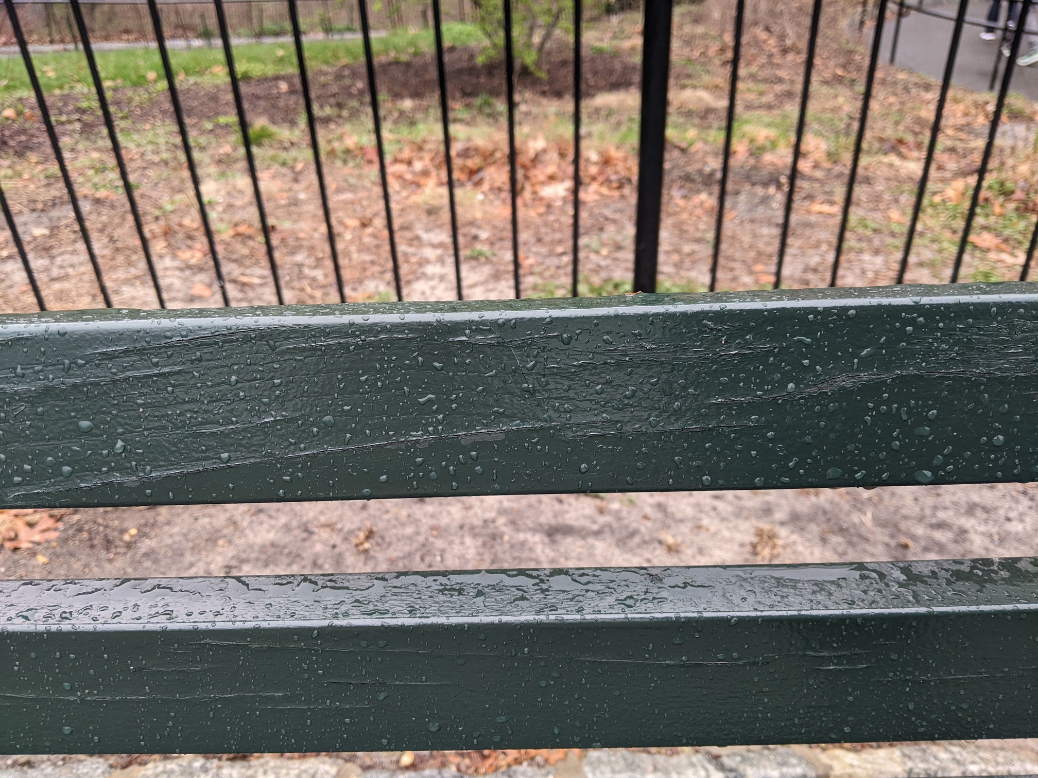 I saw this bench in Central Park