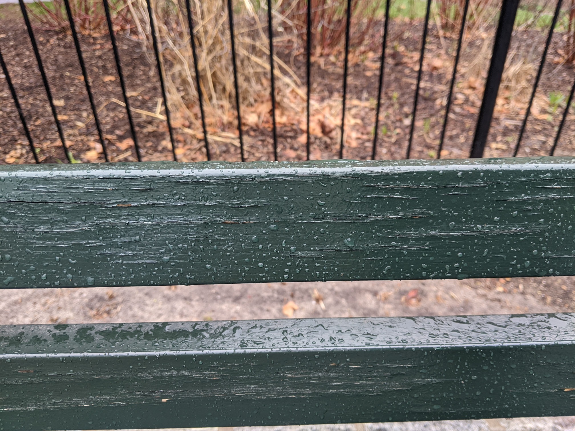 I saw this bench in Central Park