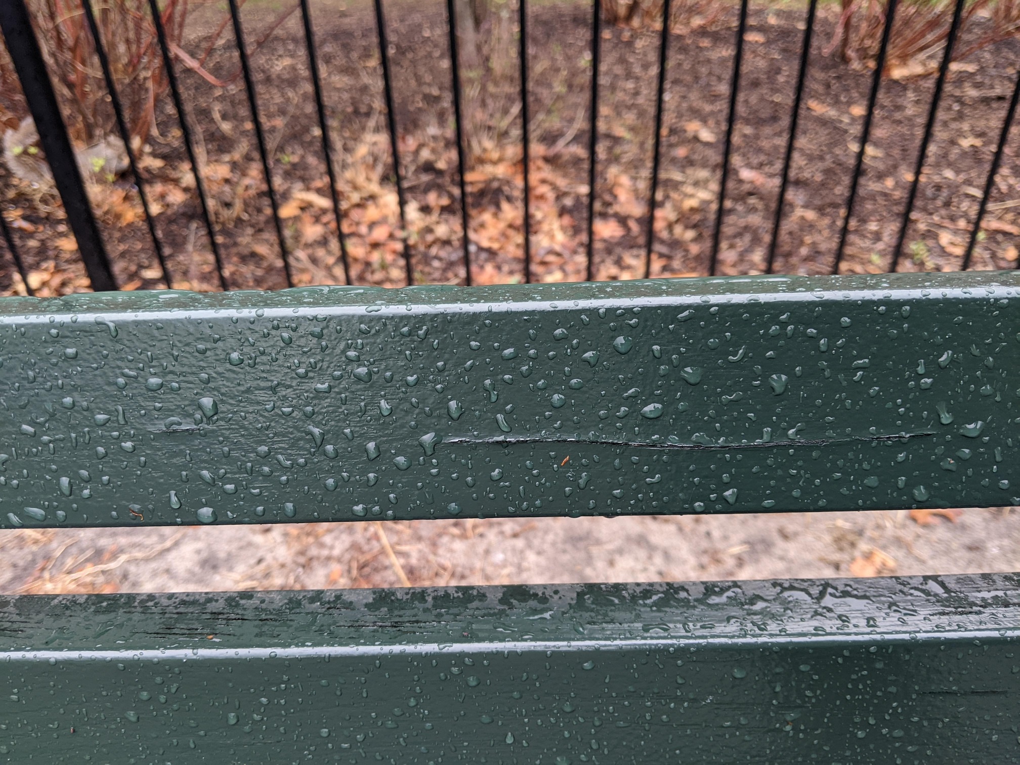 I saw this bench in Central Park