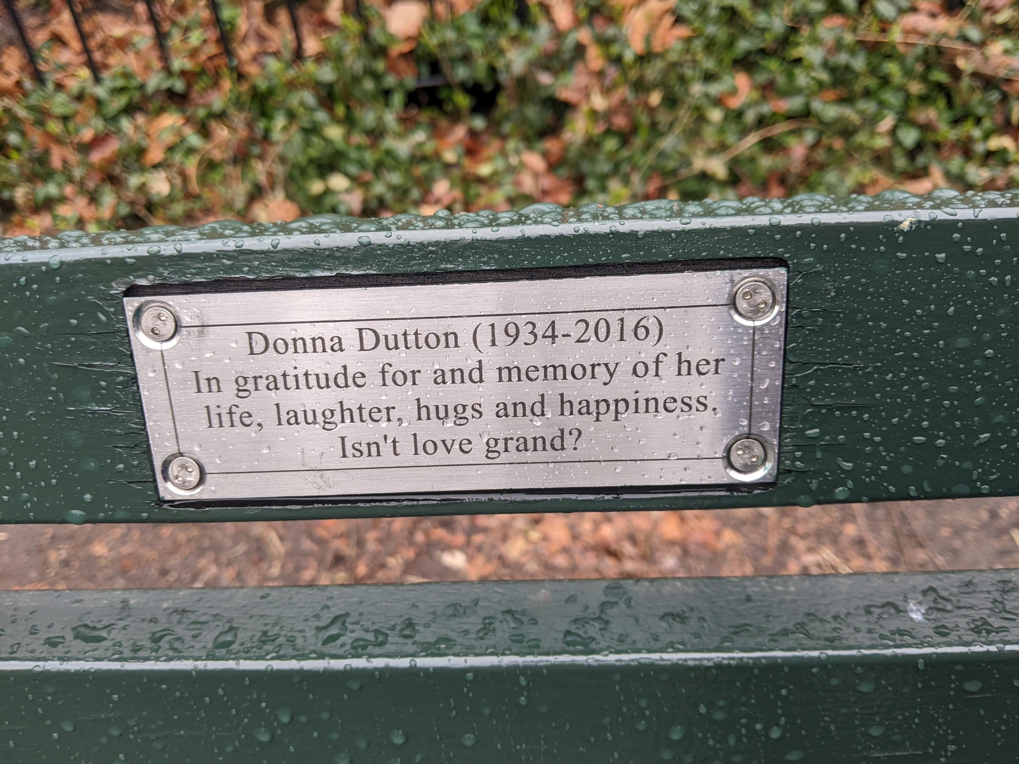 I saw this bench in Central Park