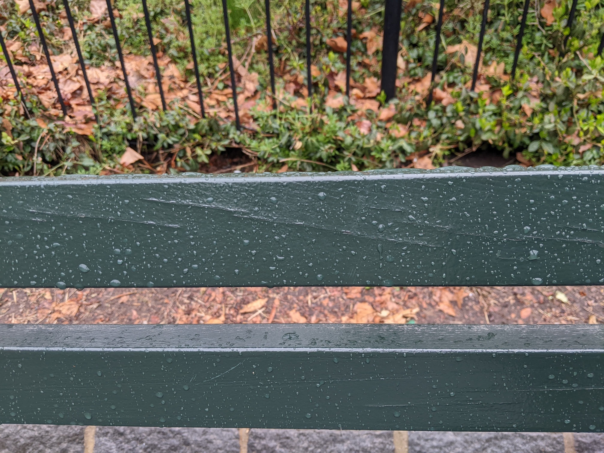 I saw this bench in Central Park