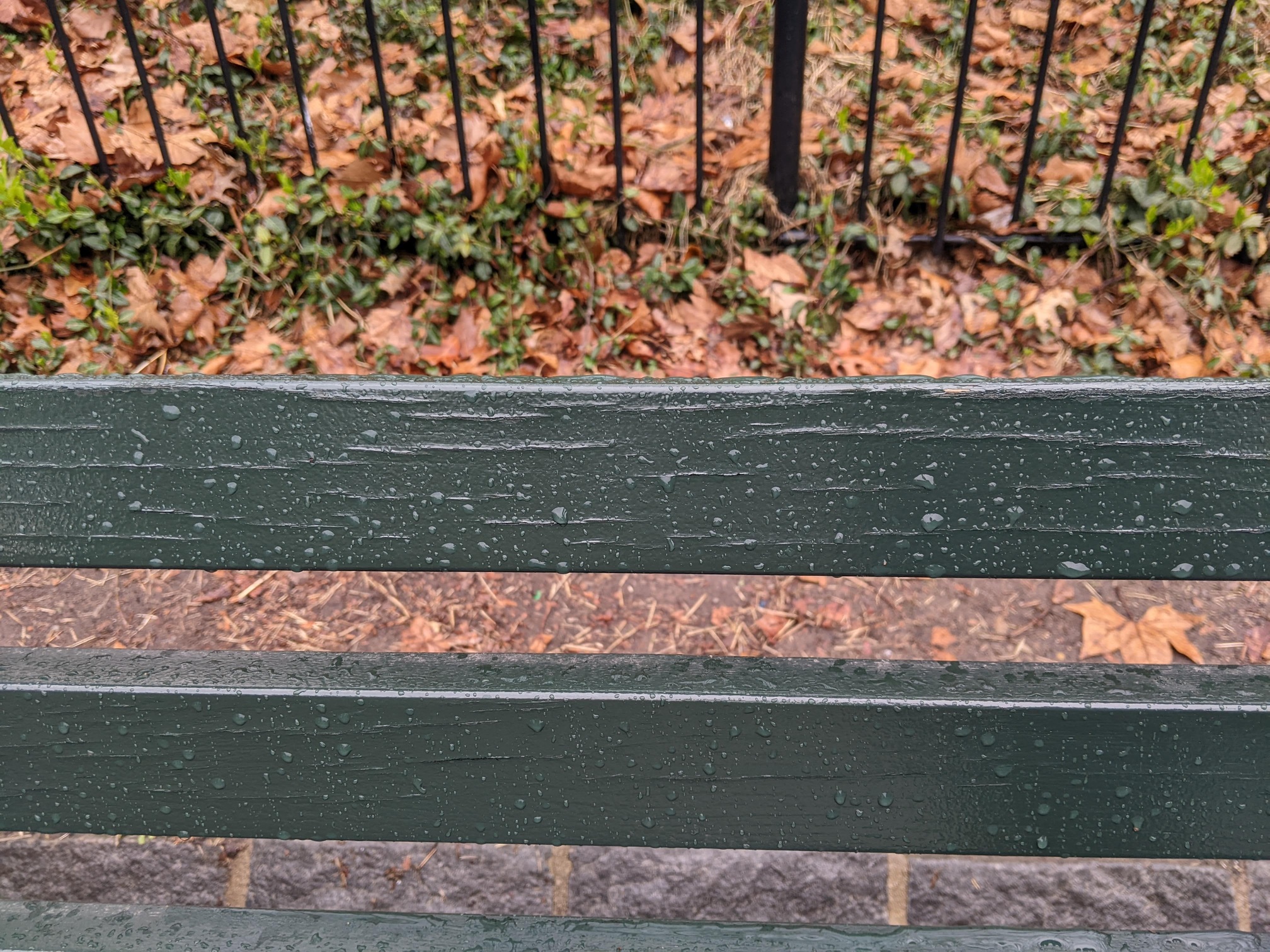 I saw this bench in Central Park