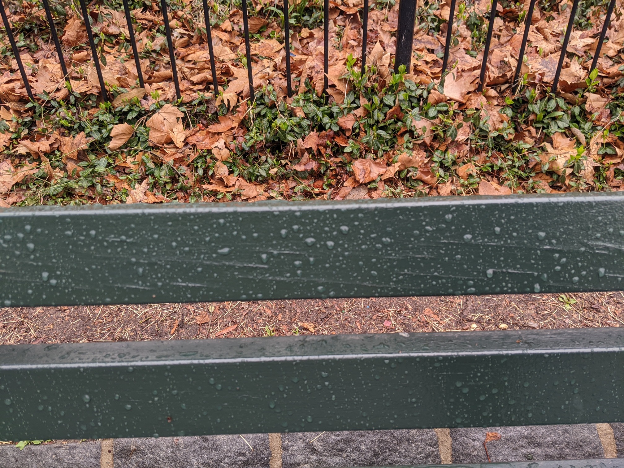 I saw this bench in Central Park