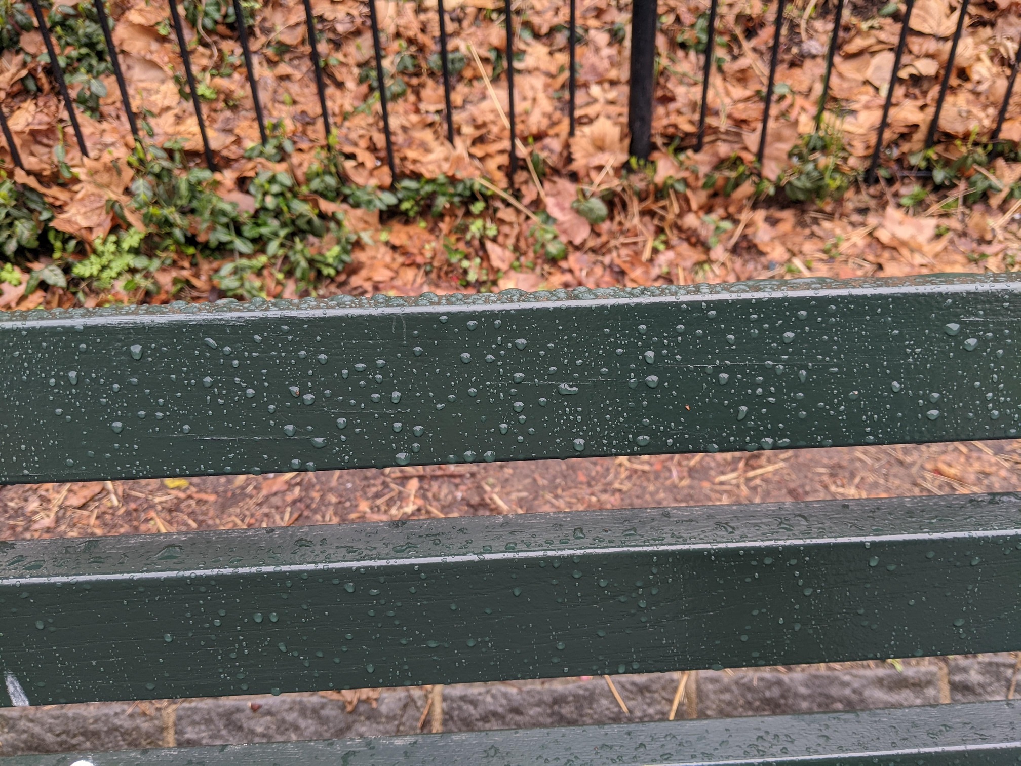 I saw this bench in Central Park