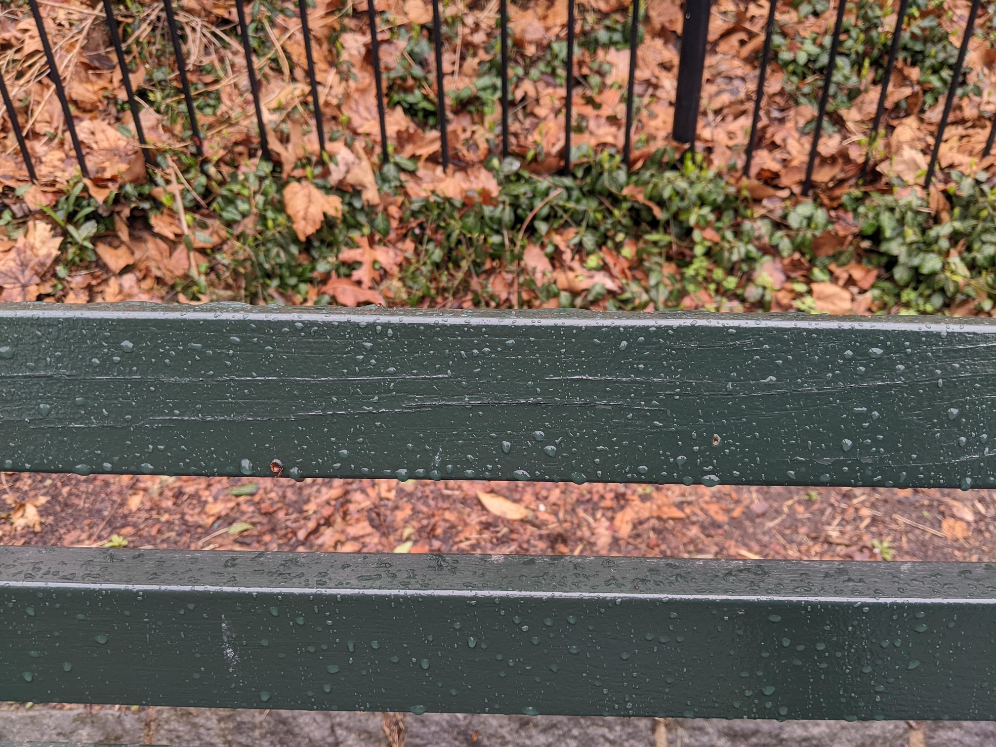 I saw this bench in Central Park