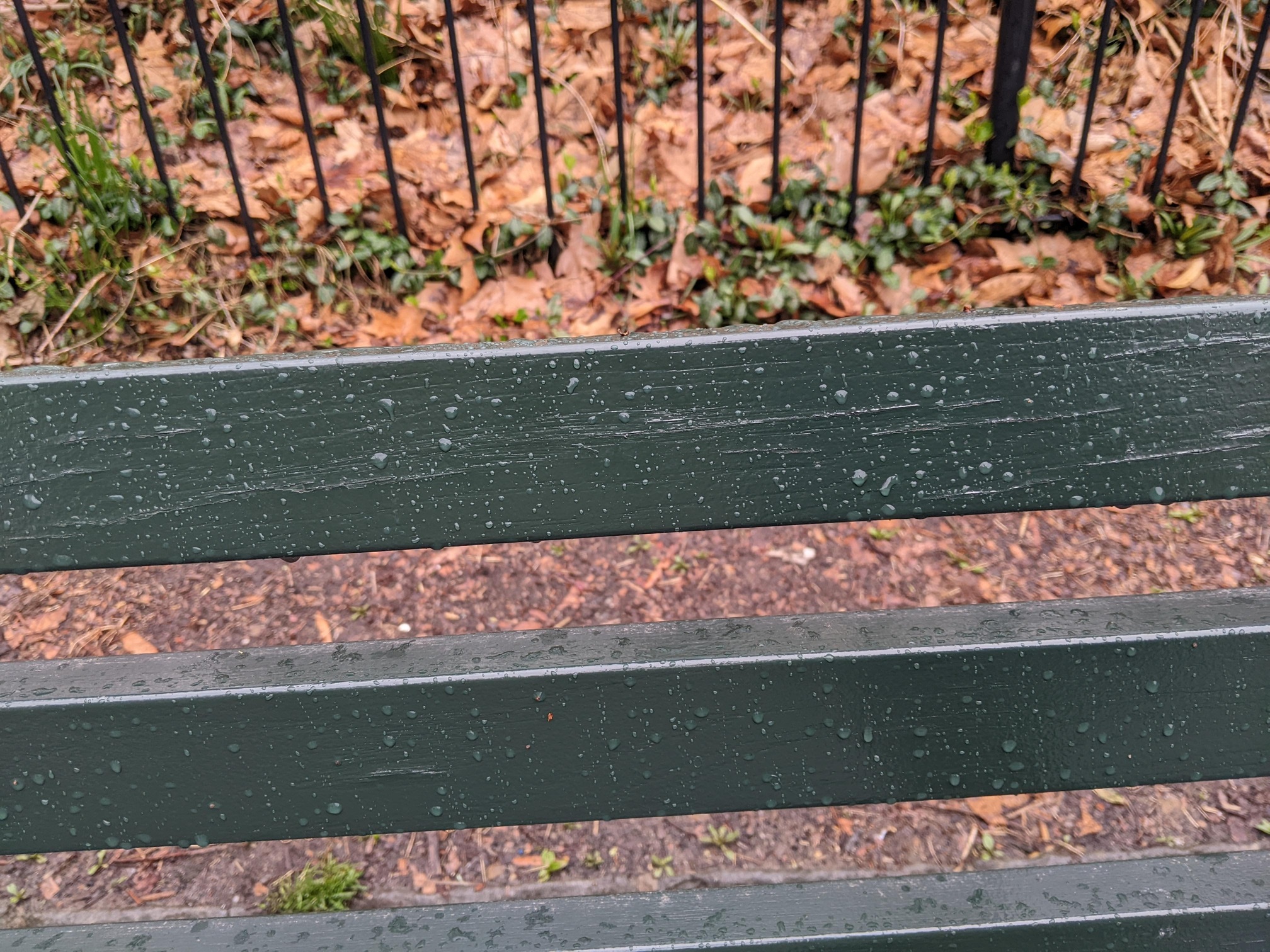 I saw this bench in Central Park