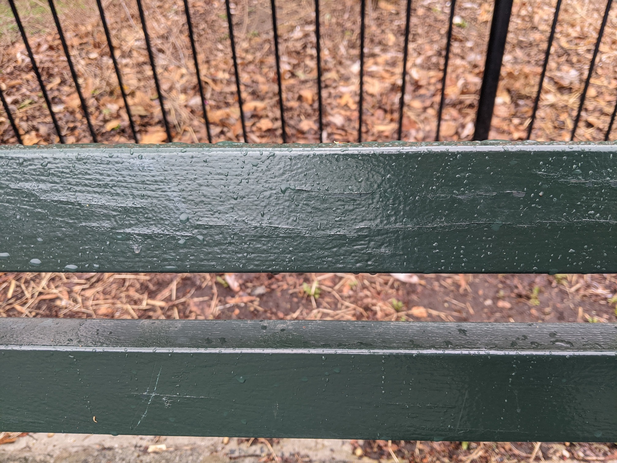 I saw this bench in Central Park