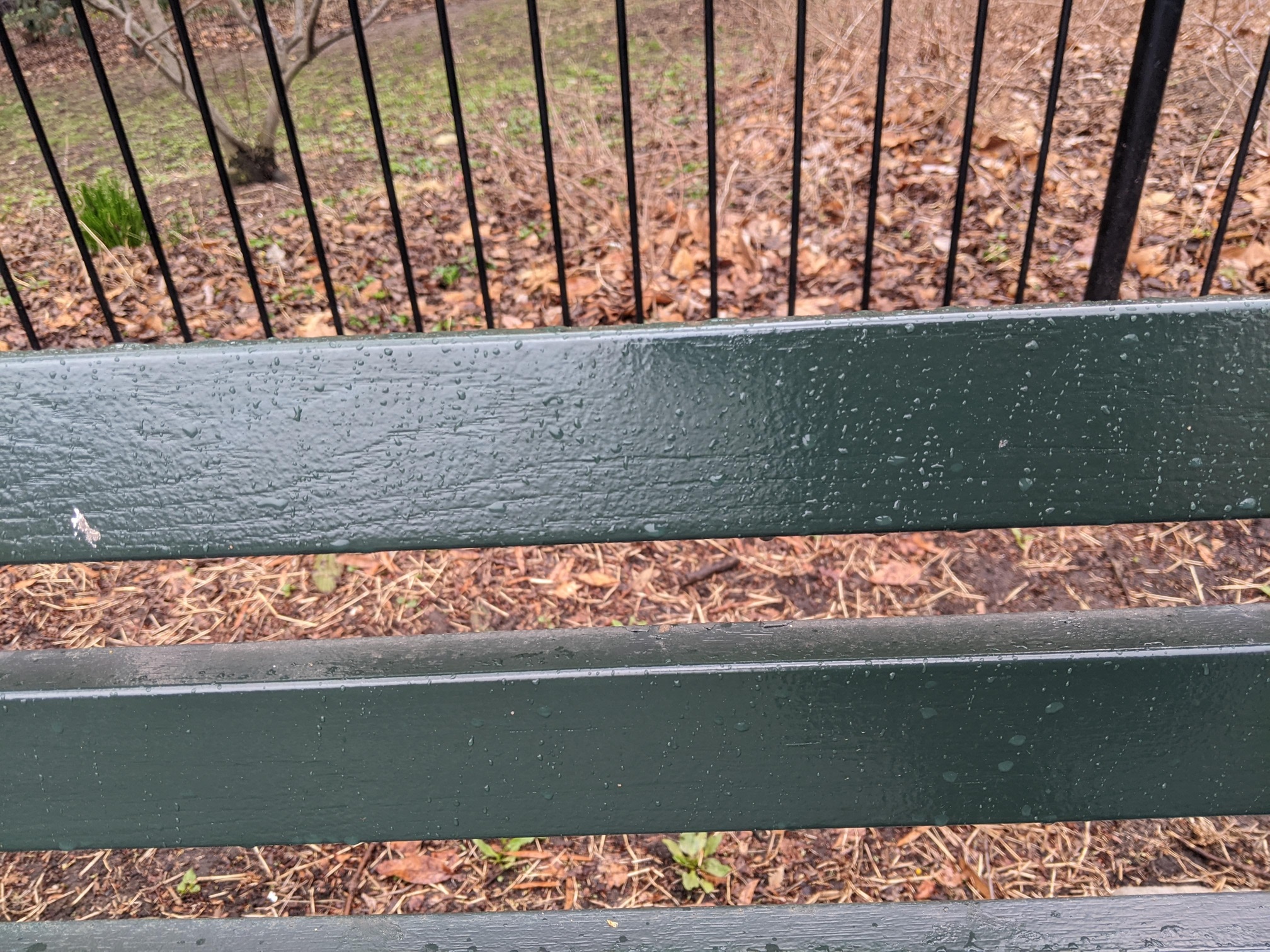 I saw this bench in Central Park