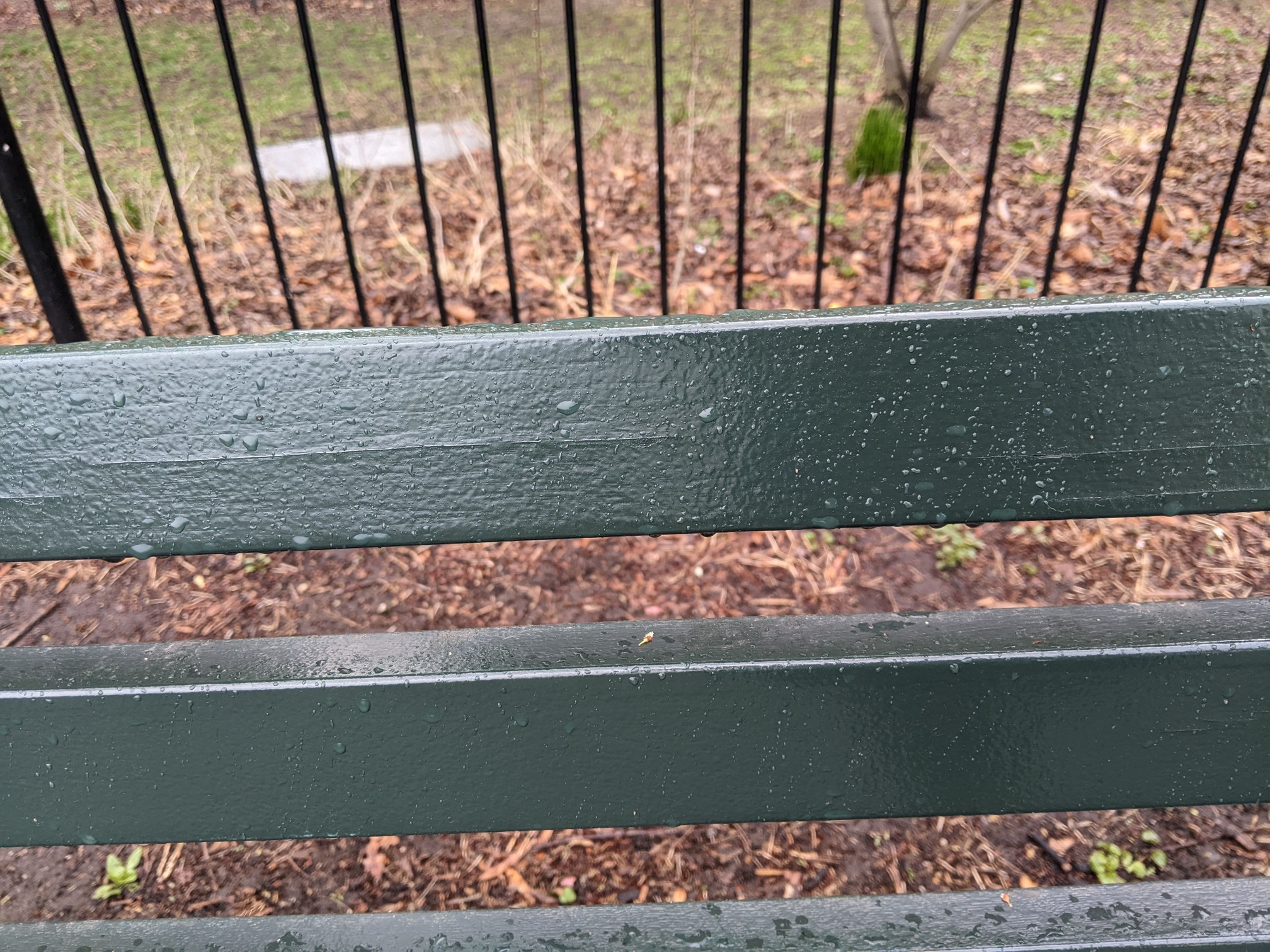 I saw this bench in Central Park