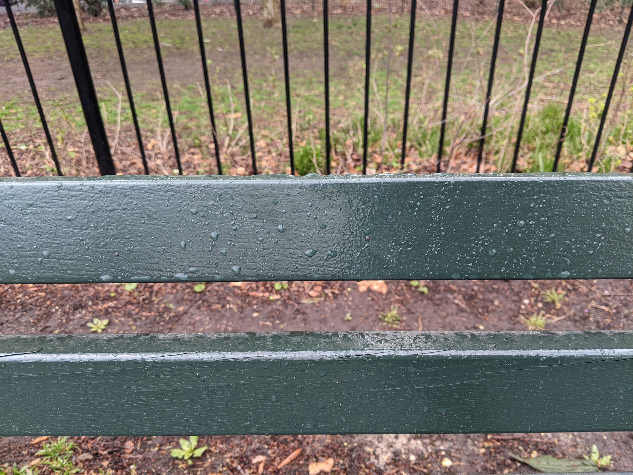 I saw this bench in Central Park