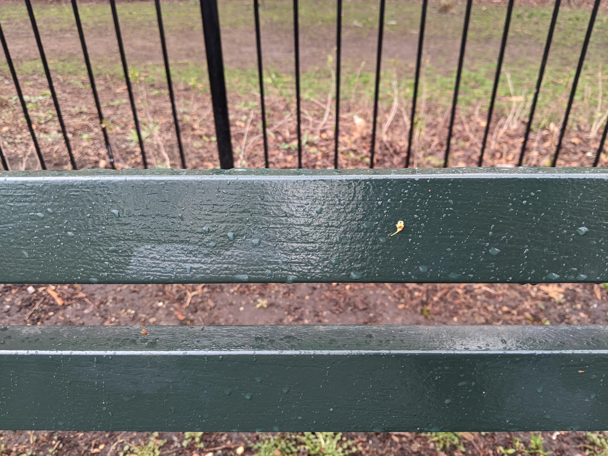 I saw this bench in Central Park