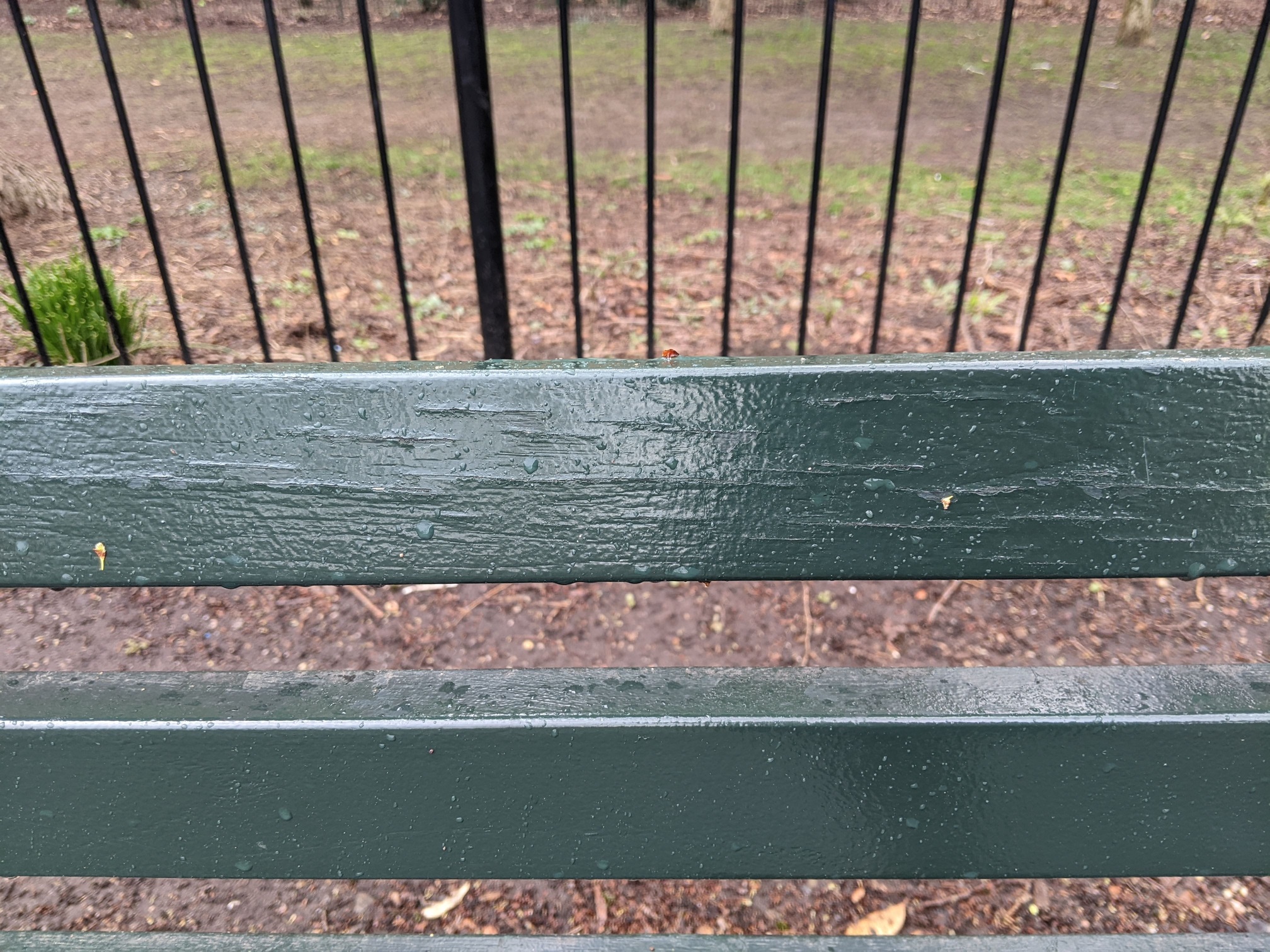 I saw this bench in Central Park