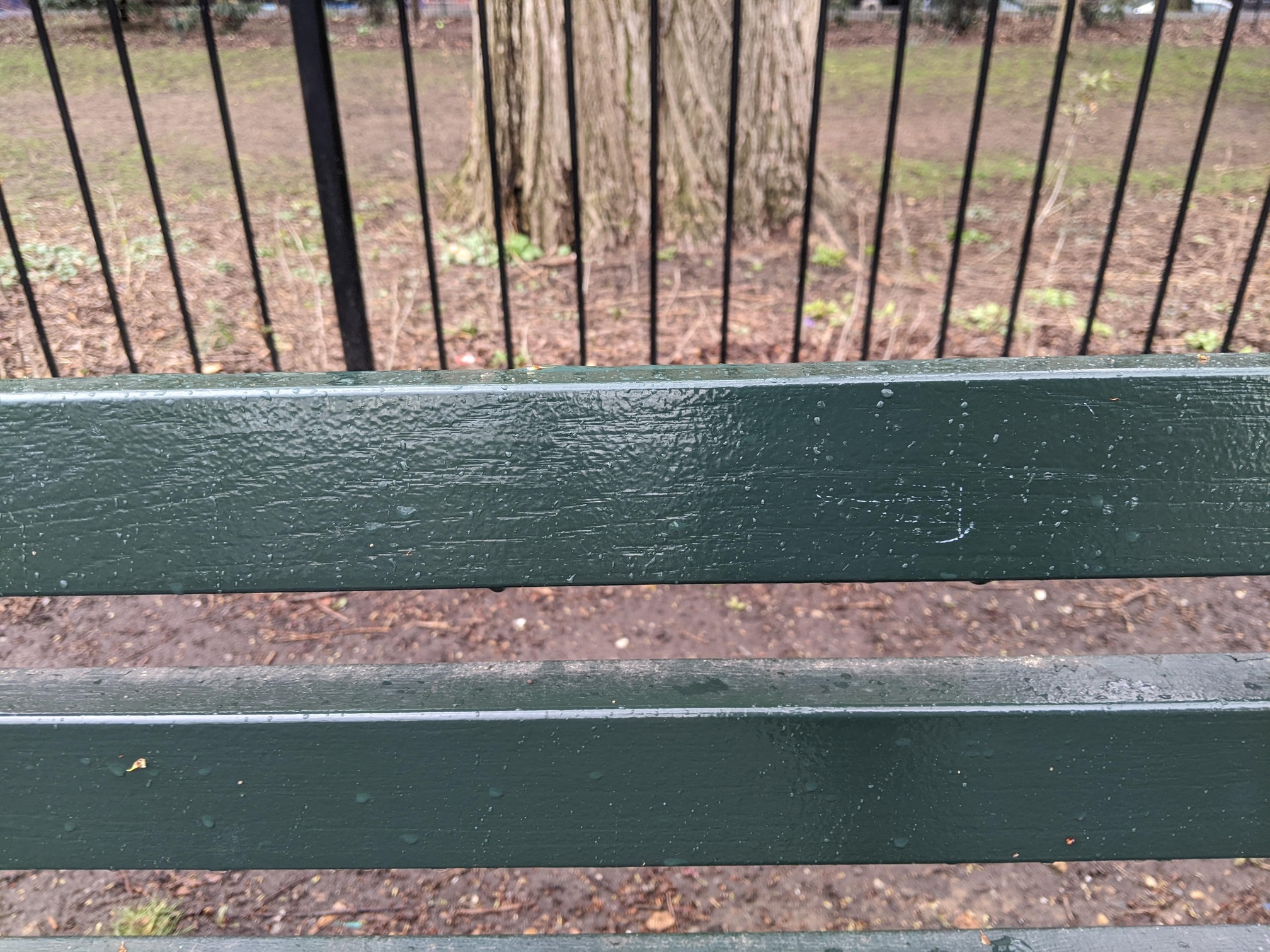 I saw this bench in Central Park