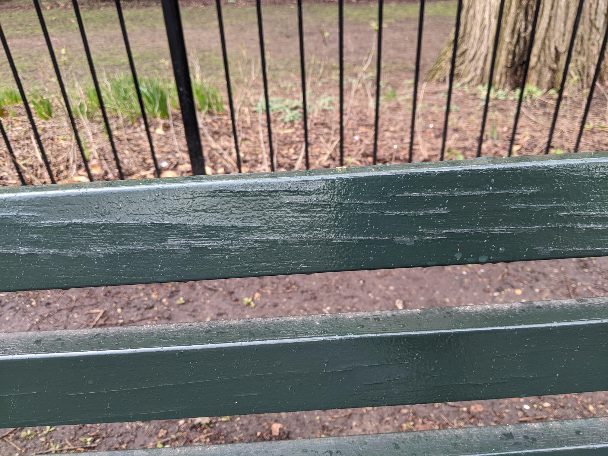 I saw this bench in Central Park