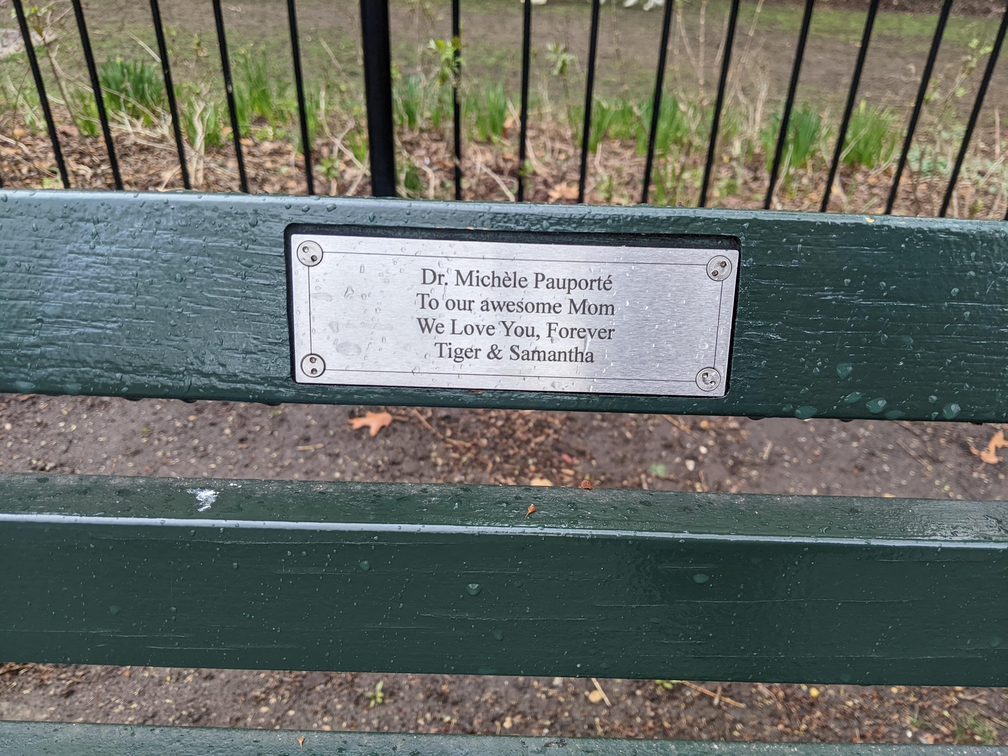 I saw this bench in Central Park