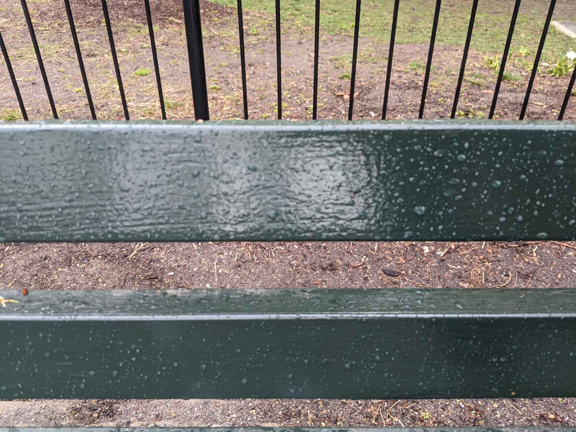 I saw this bench in Central Park