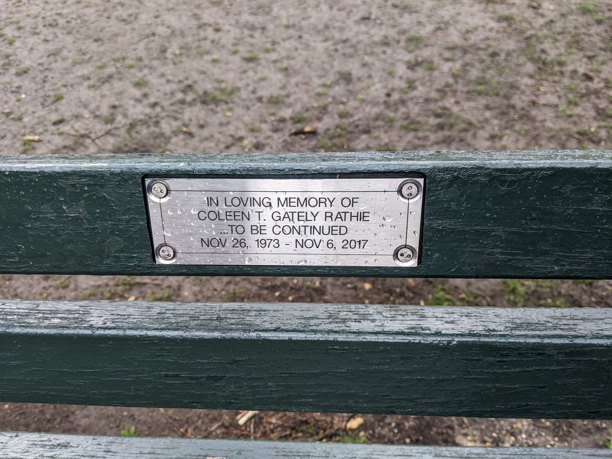 I saw this bench in Central Park