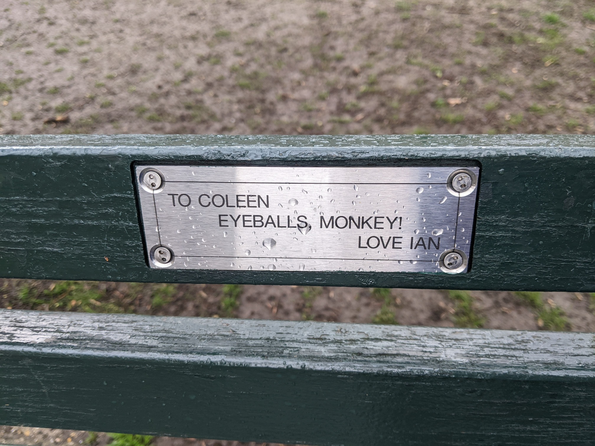 I saw this bench in Central Park